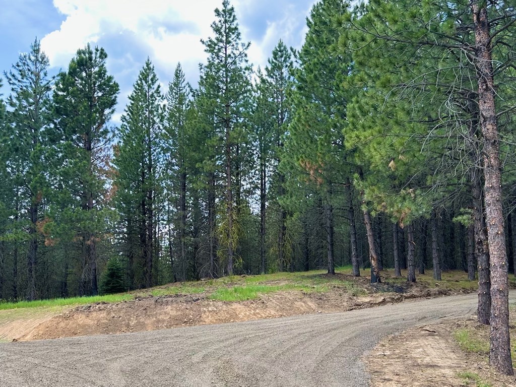 Lot 40 Challis Lane, Unit 40 Cascade, ID 83611 - Photo 13 of 23