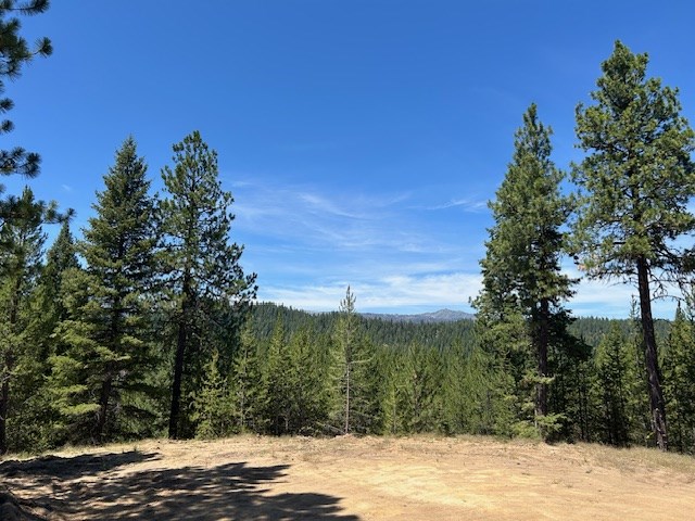 Lot 40 Challis Lane, Unit 40 Cascade, ID 83611 - Photo 16 of 23