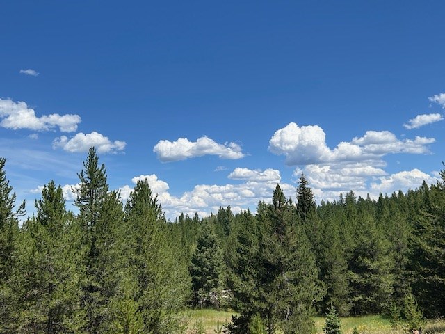 Lot 40 Challis Lane, Unit 40 Cascade, ID 83611 - Photo 17 of 23