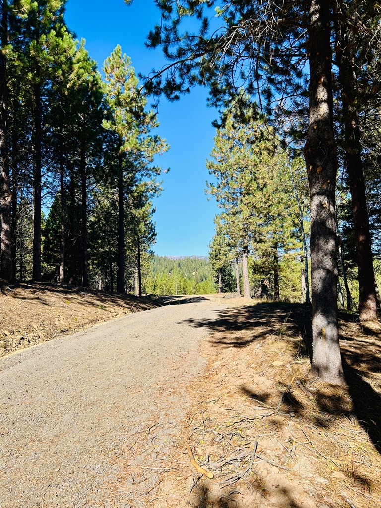 Lot 40 Challis Lane, Unit 40 Cascade, ID 83611 - Photo 19 of 23