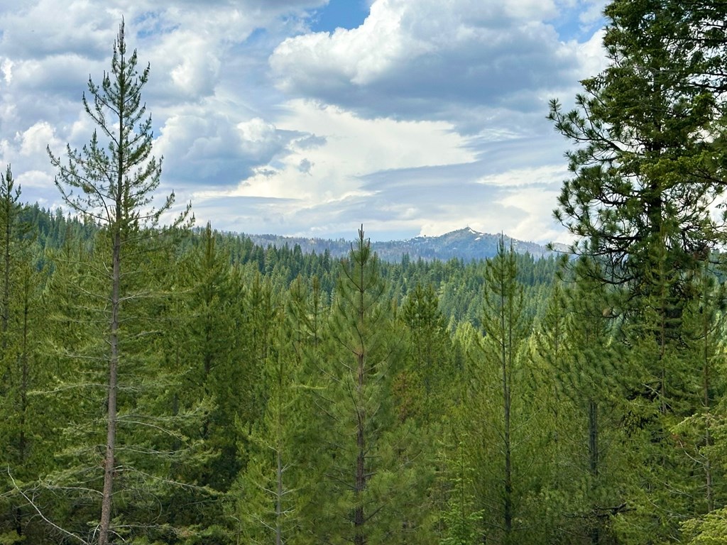 Lot 40 Challis Lane, Unit 40 Cascade, ID 83611 - Photo 2 of 23