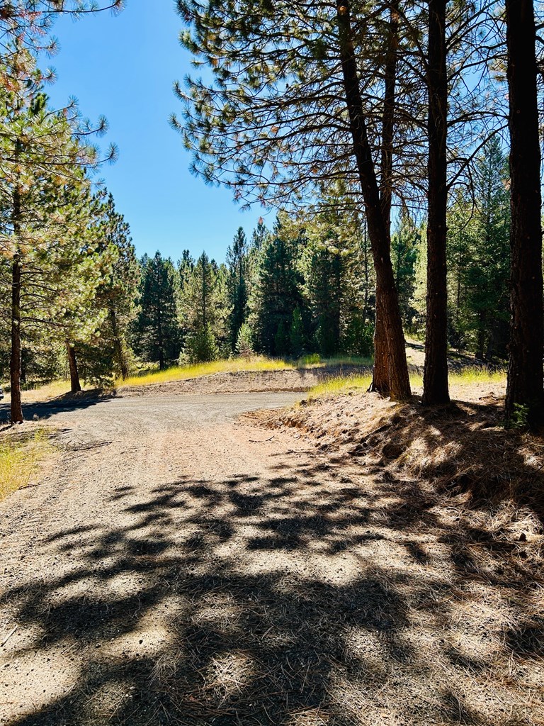 Lot 40 Challis Lane, Unit 40 Cascade, ID 83611 - Photo 21 of 23