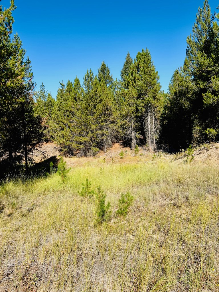 Lot 40 Challis Lane, Unit 40 Cascade, ID 83611 - Photo 23 of 23