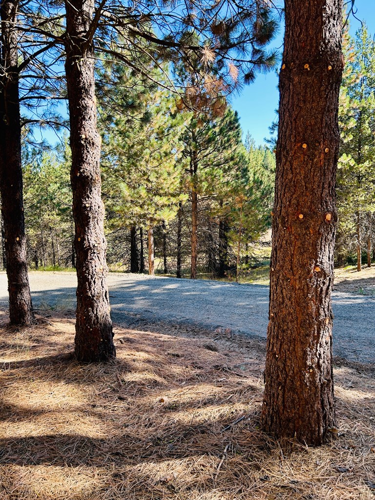 Lot 40 Challis Lane, Unit 40 Cascade, ID 83611 - Photo 3 of 23