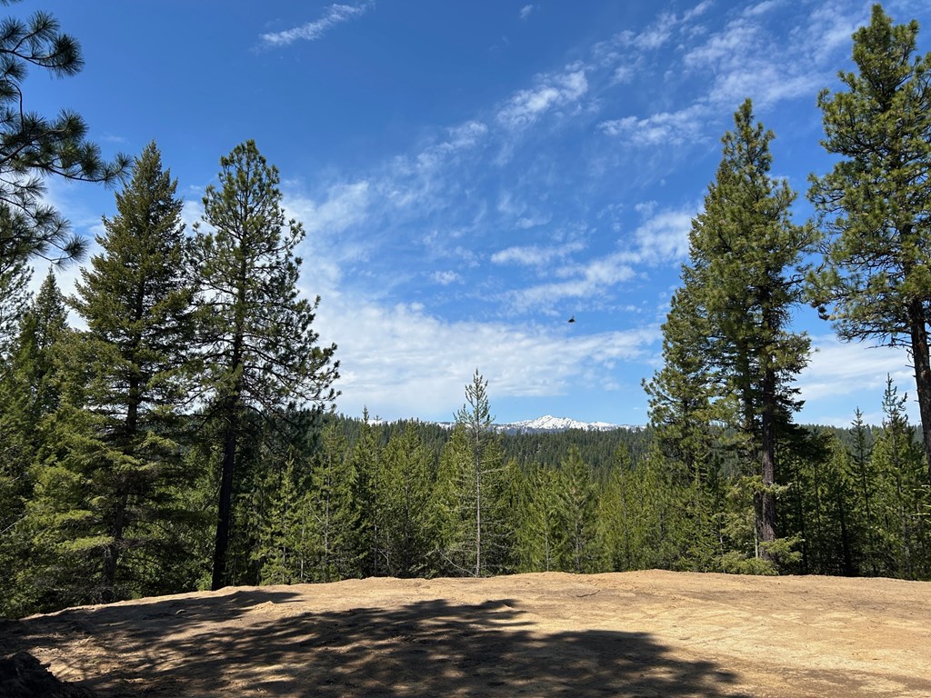 Lot 40 Challis Lane, Unit 40 Cascade, ID 83611 - Photo 4 of 23