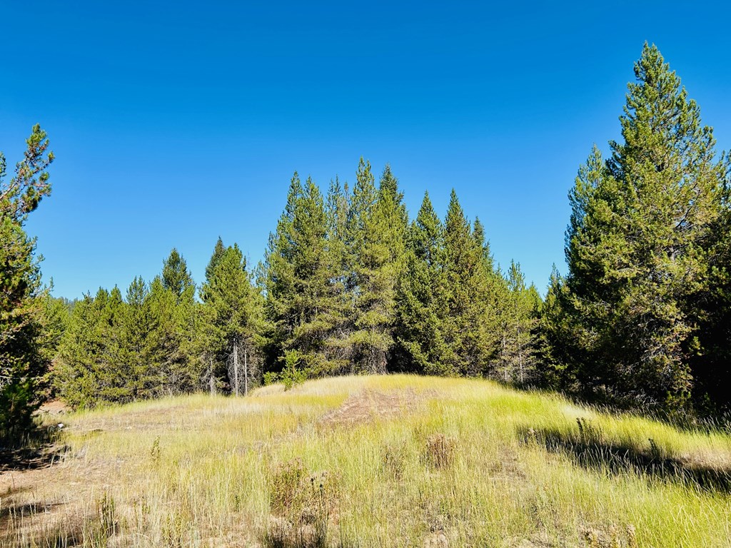 Lot 40 Challis Lane, Unit 40 Cascade, ID 83611 - Photo 6 of 23