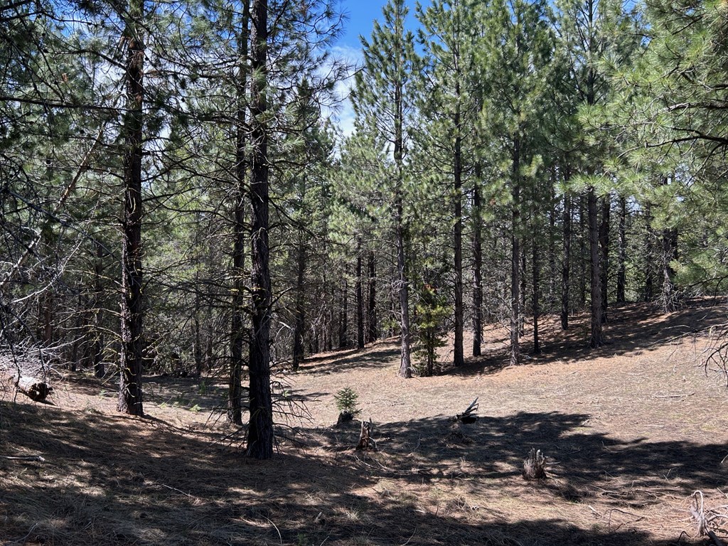 Lot 40 Challis Lane, Unit 40 Cascade, ID 83611 - Photo 7 of 23