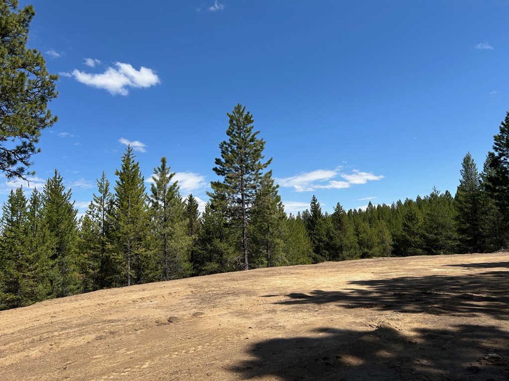 Lot 40 Challis Lane, Unit 40 Cascade, ID 83611 - Photo 10 of 23