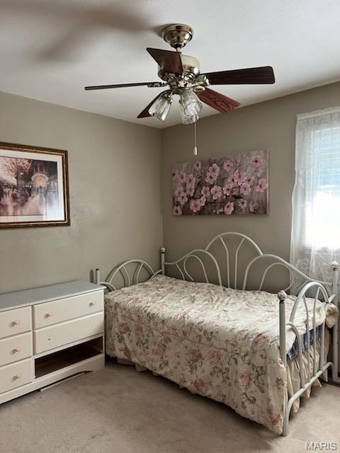 6305 Erie St Road Belleville, IL 62223 - Photo 30 of 36 Gallery Image 30