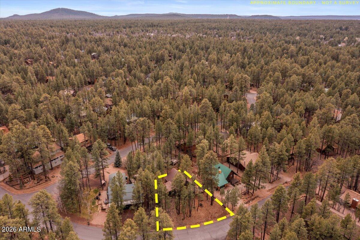 3236 Turkey Track Road Pinetop, AZ 85935 - Photo 36 of 40 36-DJI_0214