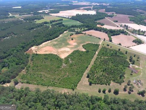 0 Ben Hadden Road Stapleton, GA 30823 - Photo 7 of 8