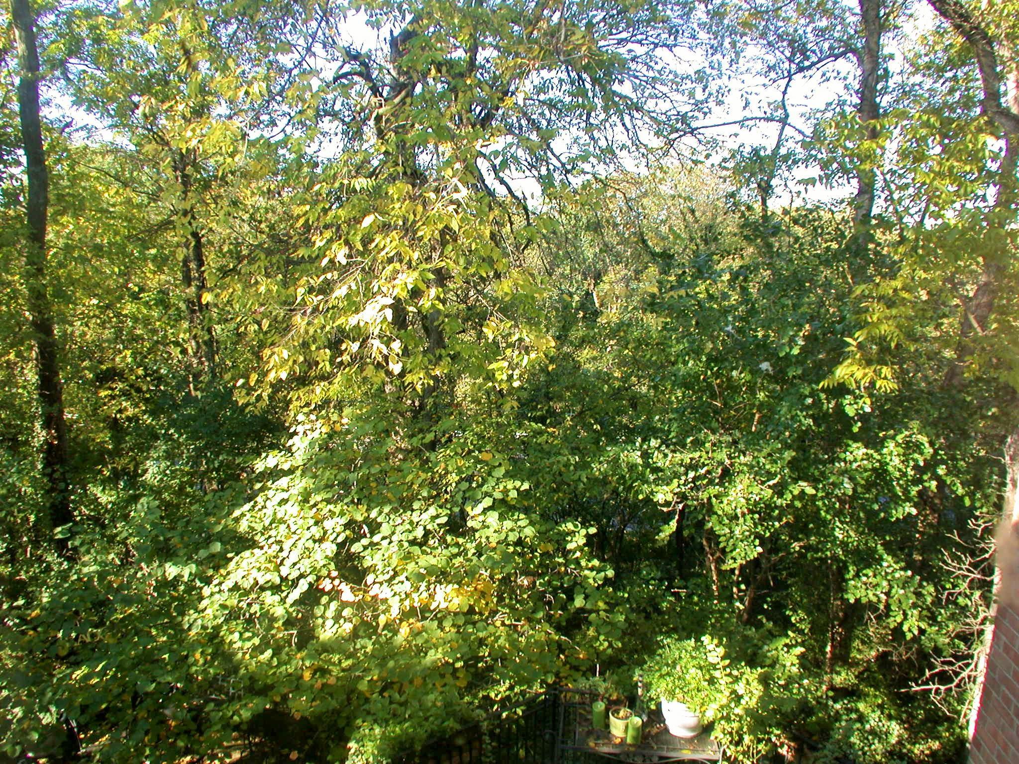 2815 Charing Road Columbus, OH 43221 - Photo 8 of 56