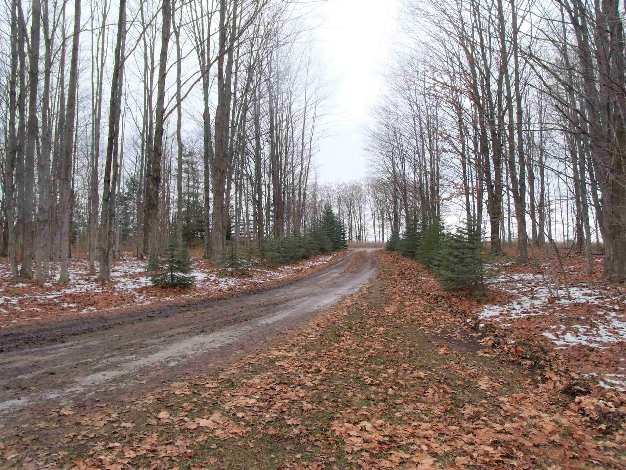 9155 Centerline Road Onaway, MI 49765 - Photo 5 of 35 Gallery Image 5