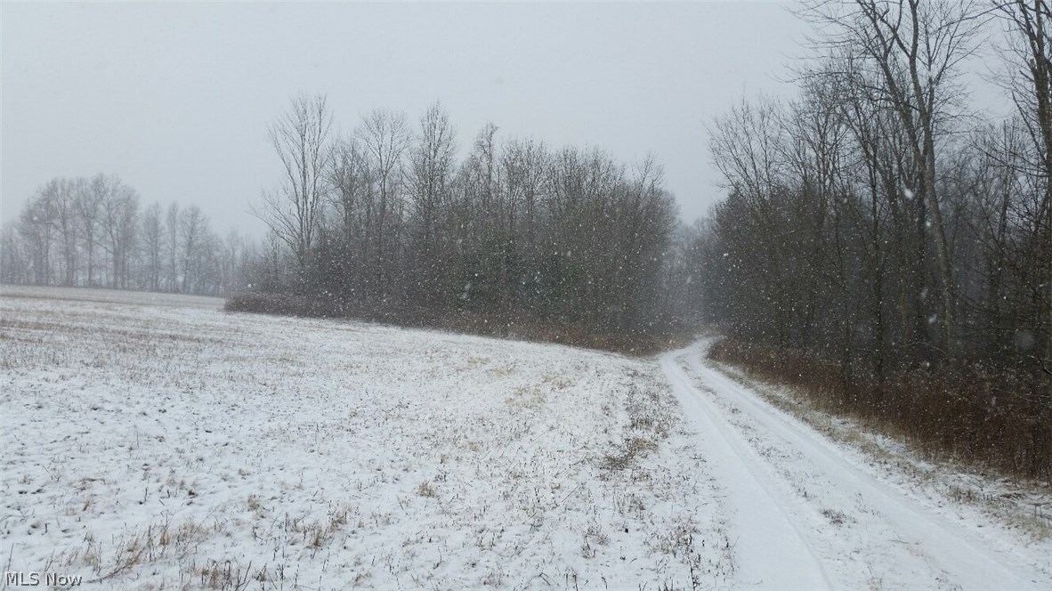 Wayland Road Deerfield, OH 44411 - Photo 6 of 8