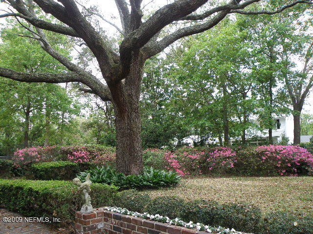 4733 Prince Edward Road Jacksonville, FL 32210 - Photo 19 of 20 Backyard