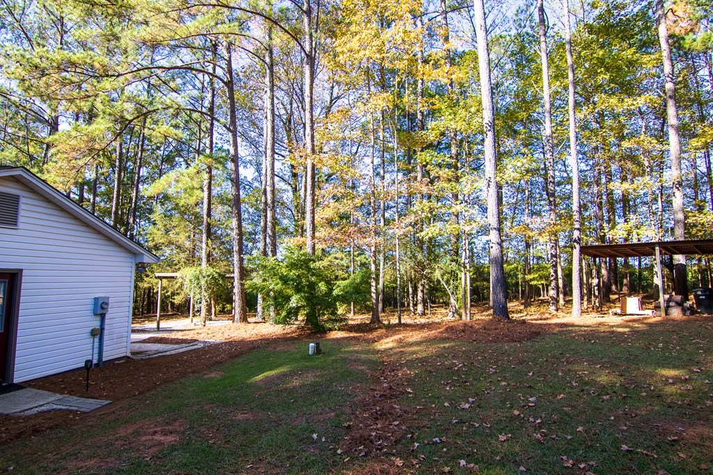 430 Duke Road Hamilton, GA 31811 - Photo 54 of 58 Gallery Image 54