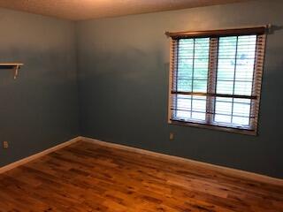 21665 Plantation Road Bristol, VA 24202 - Photo 12 of 29 plant in 2 8.10