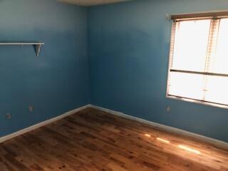 21665 Plantation Road Bristol, VA 24202 - Photo 17 of 29 plant in 2 6.28