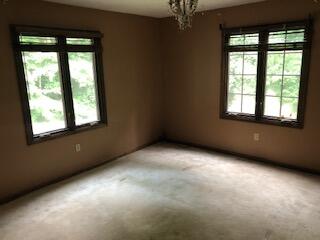 21665 Plantation Road Bristol, VA 24202 - Photo 18 of 29 plant in 1 6.28