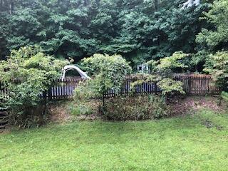 21665 Plantation Road Bristol, VA 24202 - Photo 2 of 29 plant ex 5 8.10