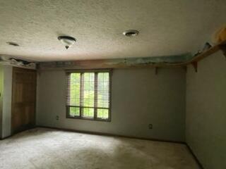 21665 Plantation Road Bristol, VA 24202 - Photo 24 of 29 plant carpet 3