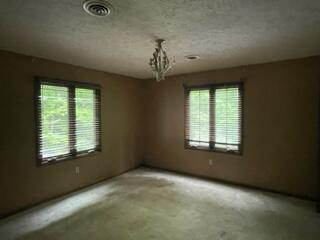 21665 Plantation Road Bristol, VA 24202 - Photo 25 of 29 plant carpet 2