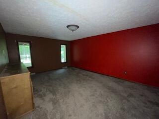 21665 Plantation Road Bristol, VA 24202 - Photo 28 of 29 plant in 6 clean 5.8