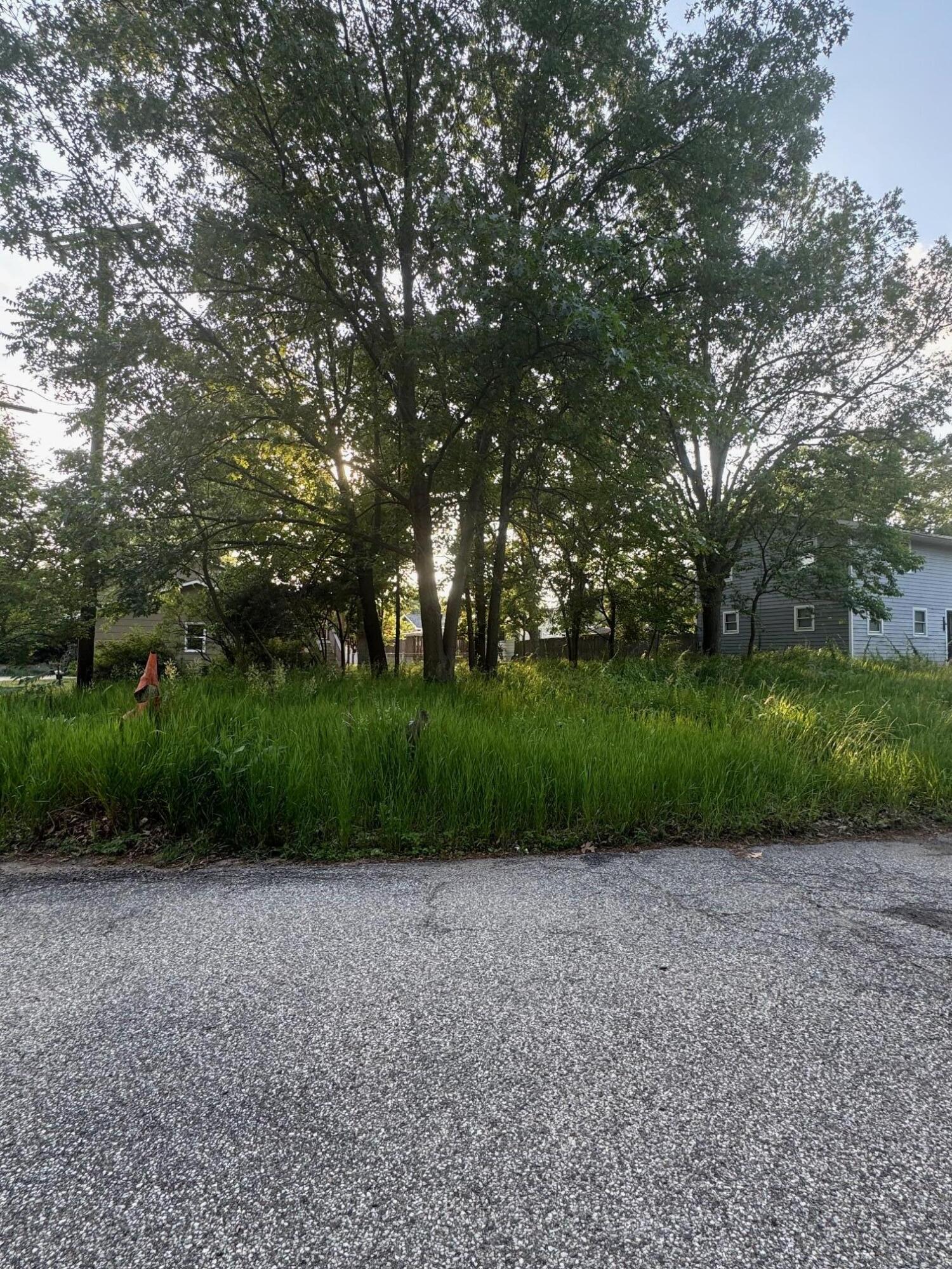 0 Carter Road Michigan City, IN 46360 - Photo 2 of 3 a view of a park