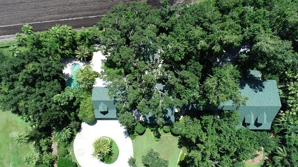 3515 Gallagher Road Dover, FL 33527 - Photo 76 of 76