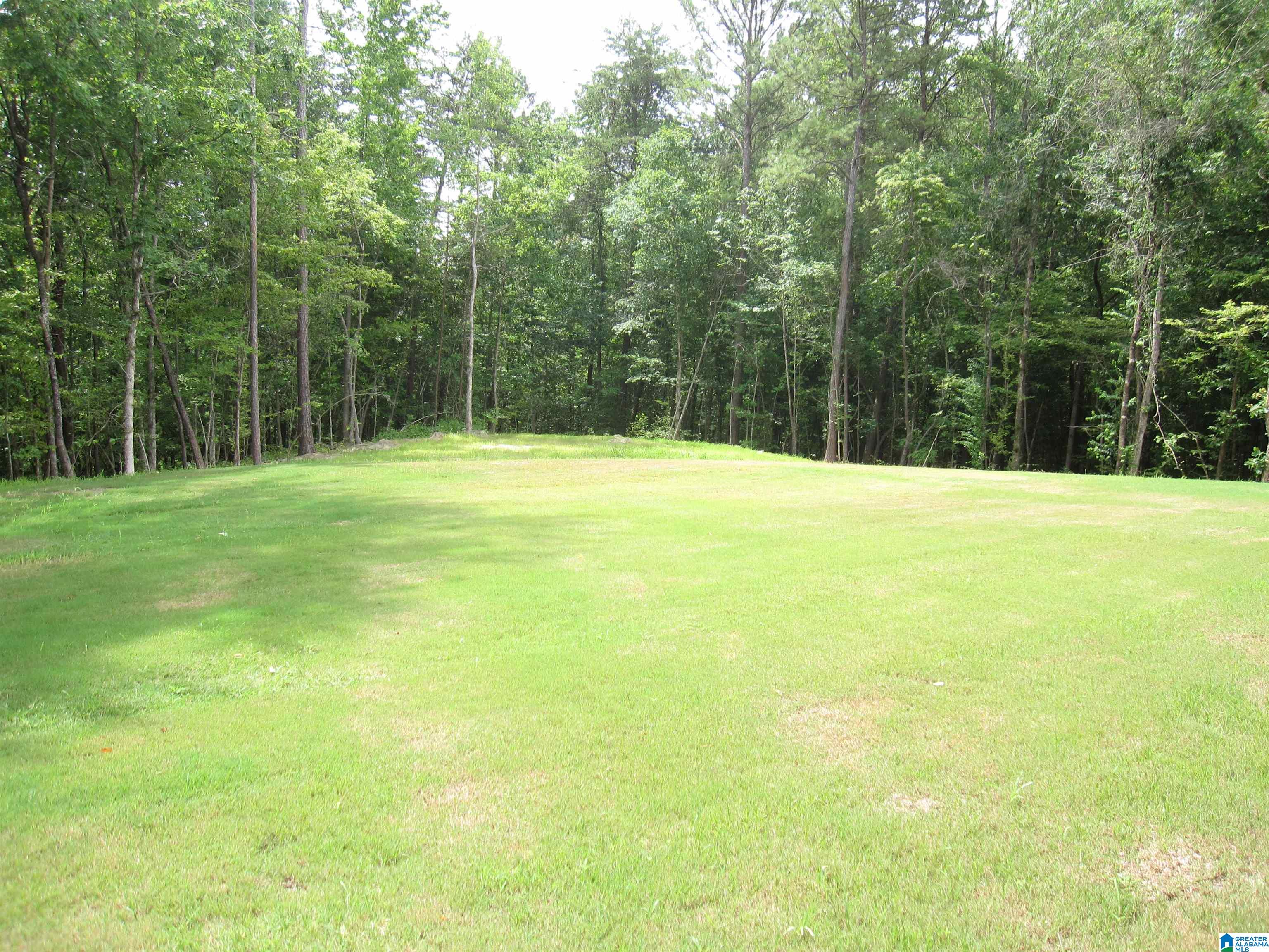 563 Cornerstone Drive Calera, AL 35040 - Photo 45 of 54