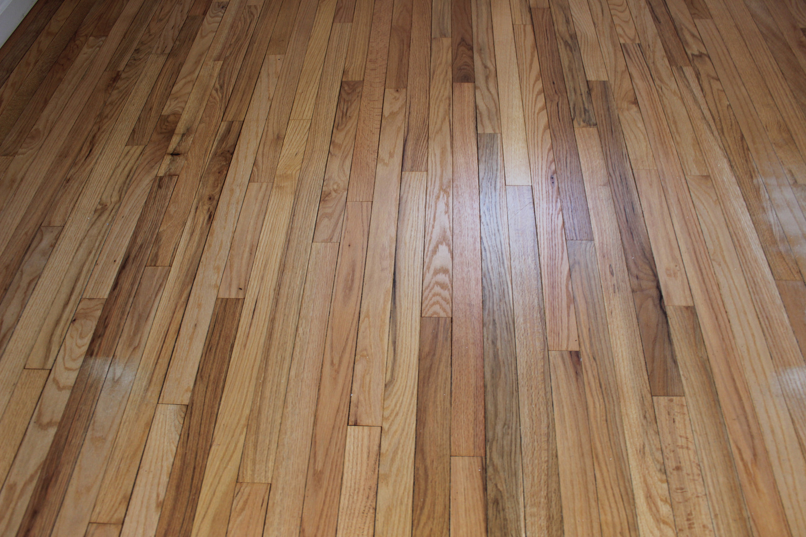 1003 Karin Drive Normal, IL 61761 - Photo 23 of 40