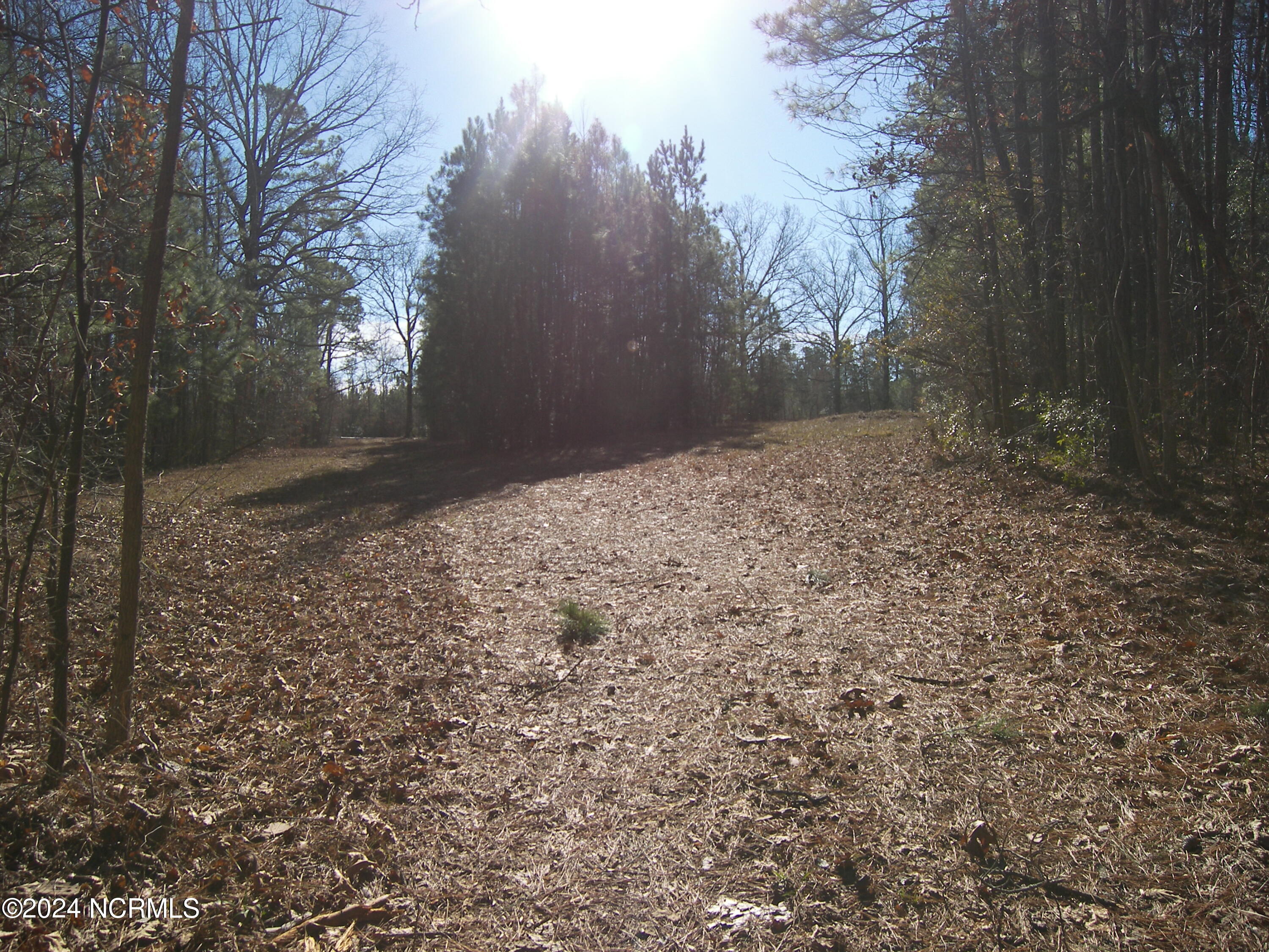 0 Seven Paths Road Spring Hope, NC 27882 - Photo 6 of 7 100_8014