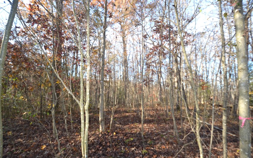 5 Toccoa Preserve Lane Blue Ridge, GA 30513 - Photo 1 of 1 Main View