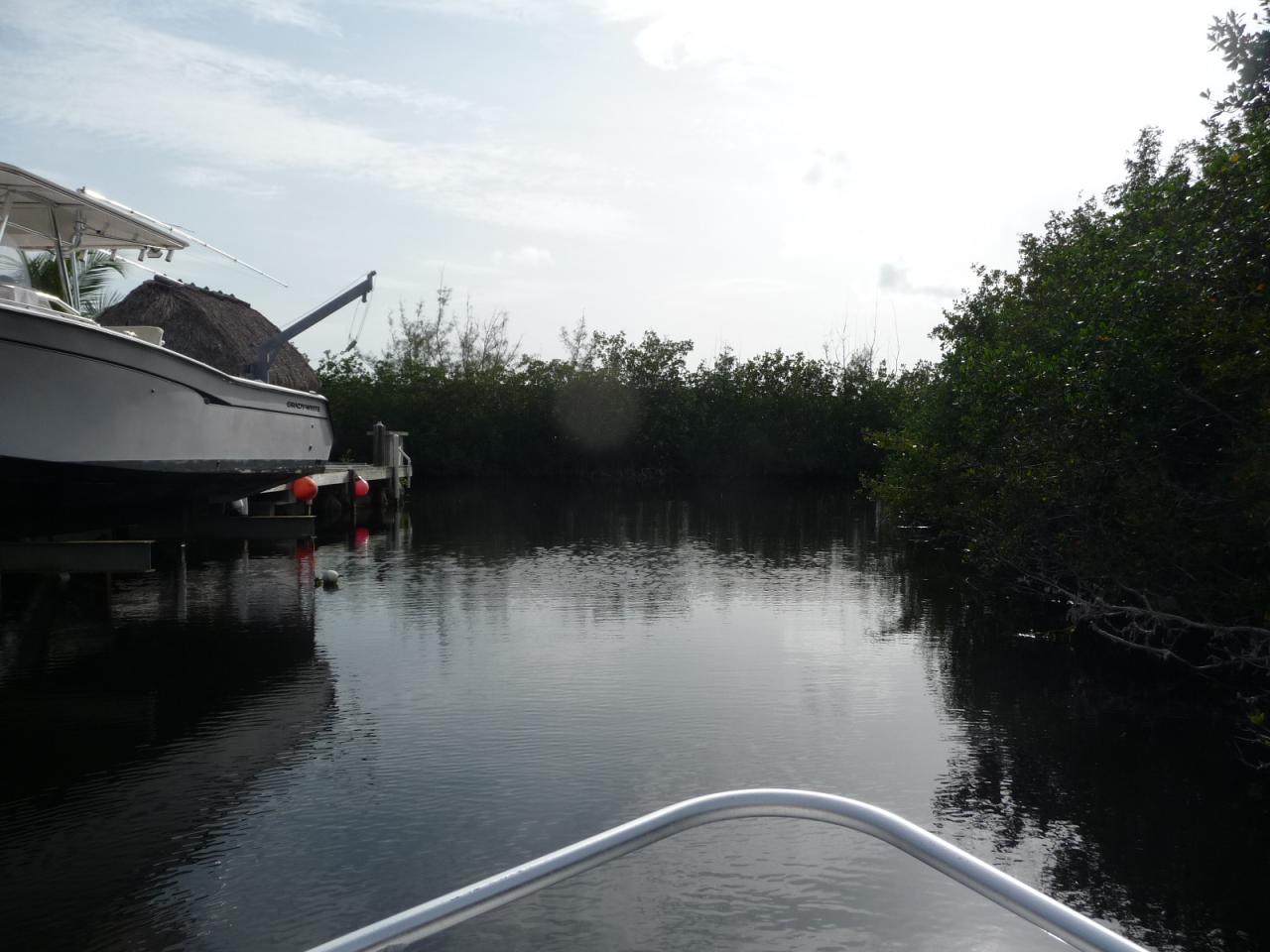 119 Spoonbill Road Tavernier, FL 33070 - Photo 24 of 28 Direct Bay Access