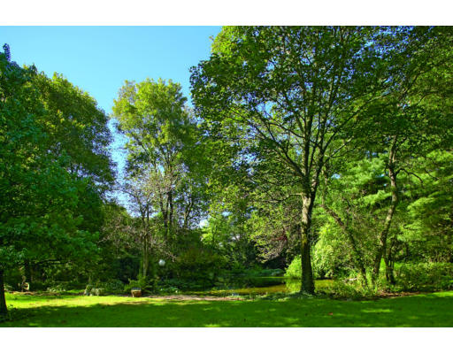 77 Yarmouth Road Brookline, MA 02467 - Photo 4 of 5 a view of a field
