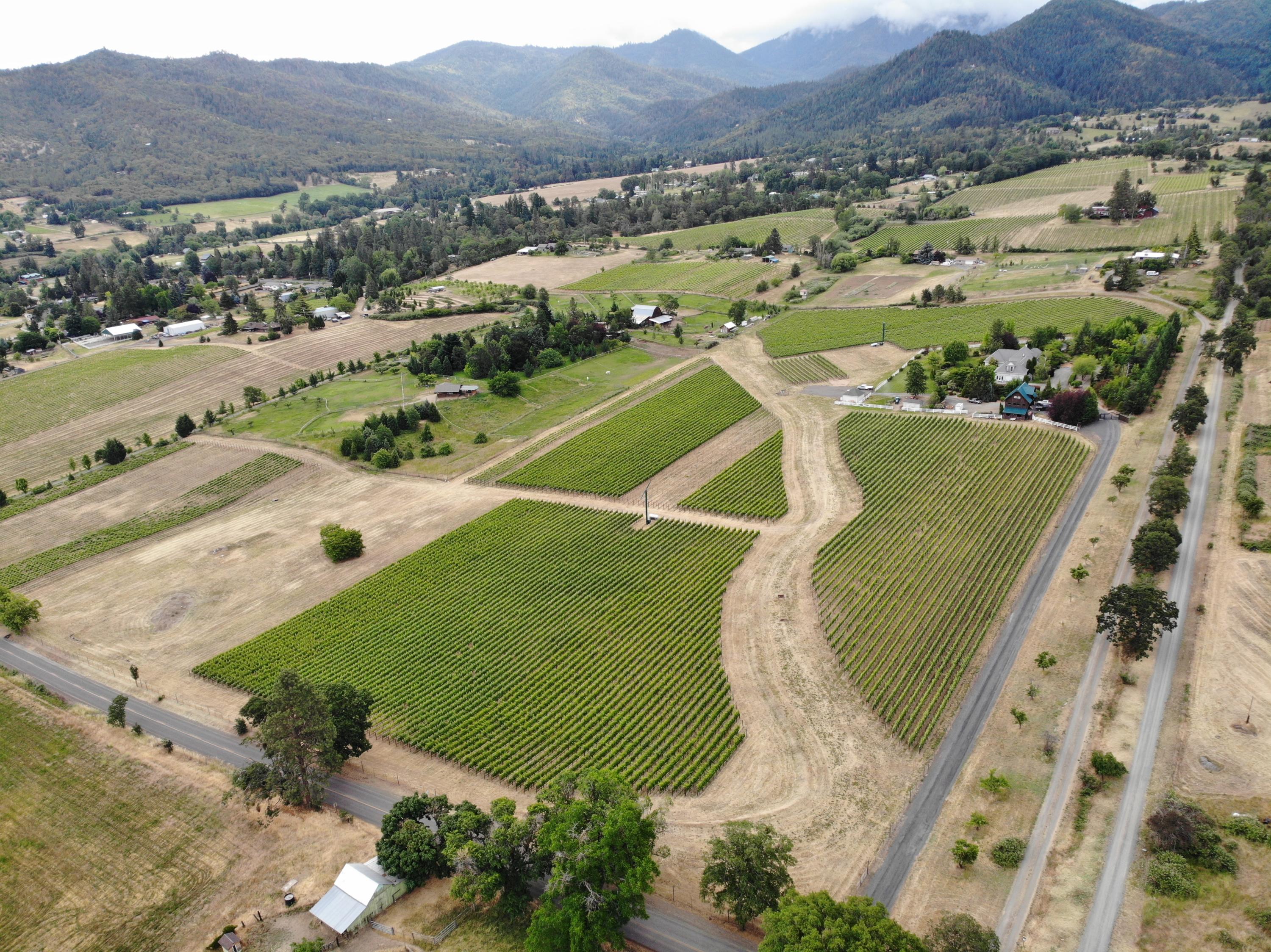 925 Anderson Creek Road Talent, OR 97540 - Photo 47 of 52 DJI_0977