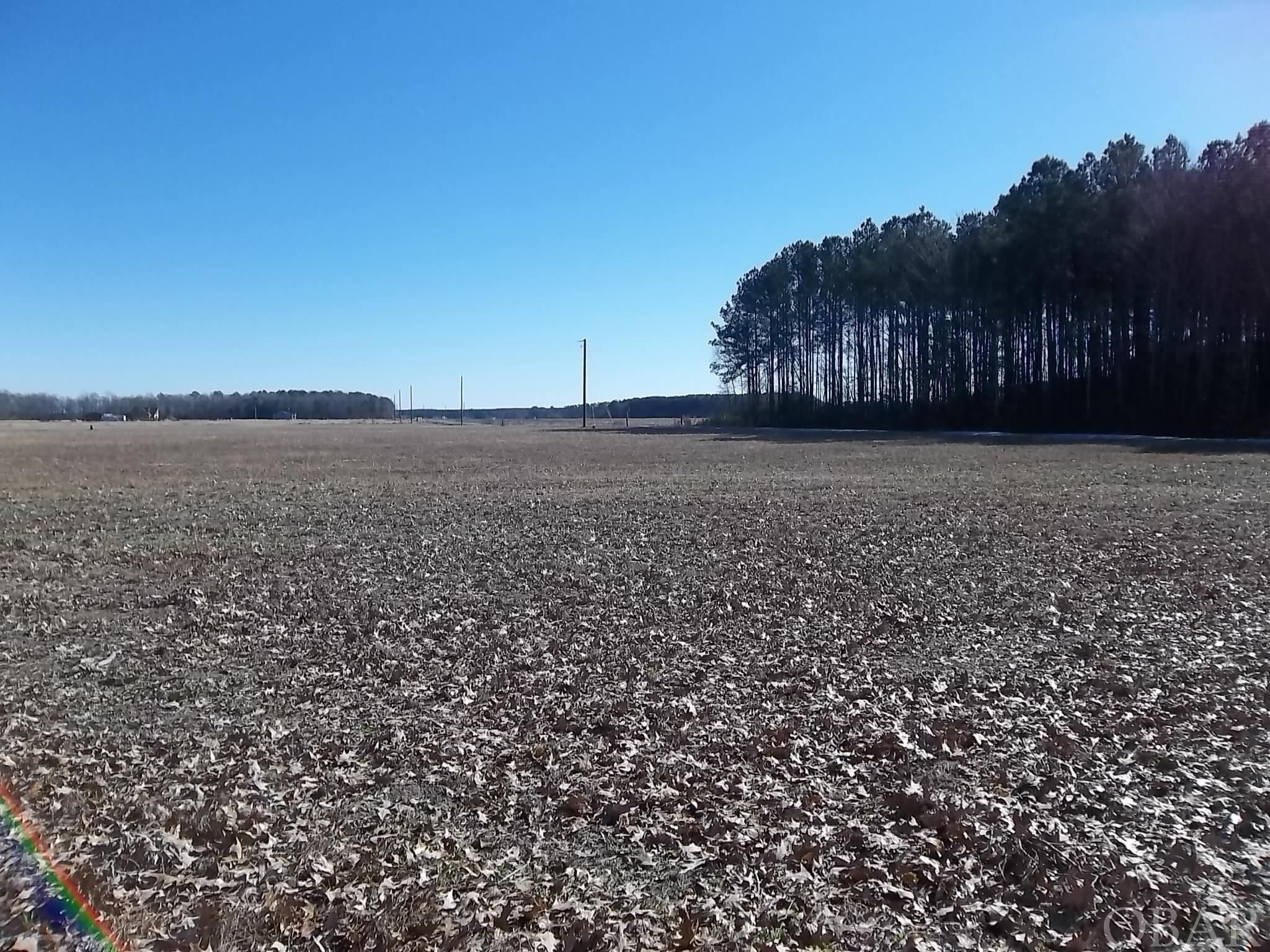 184 Dailey Road Camden, NC 27921 - Photo 1 of 14
