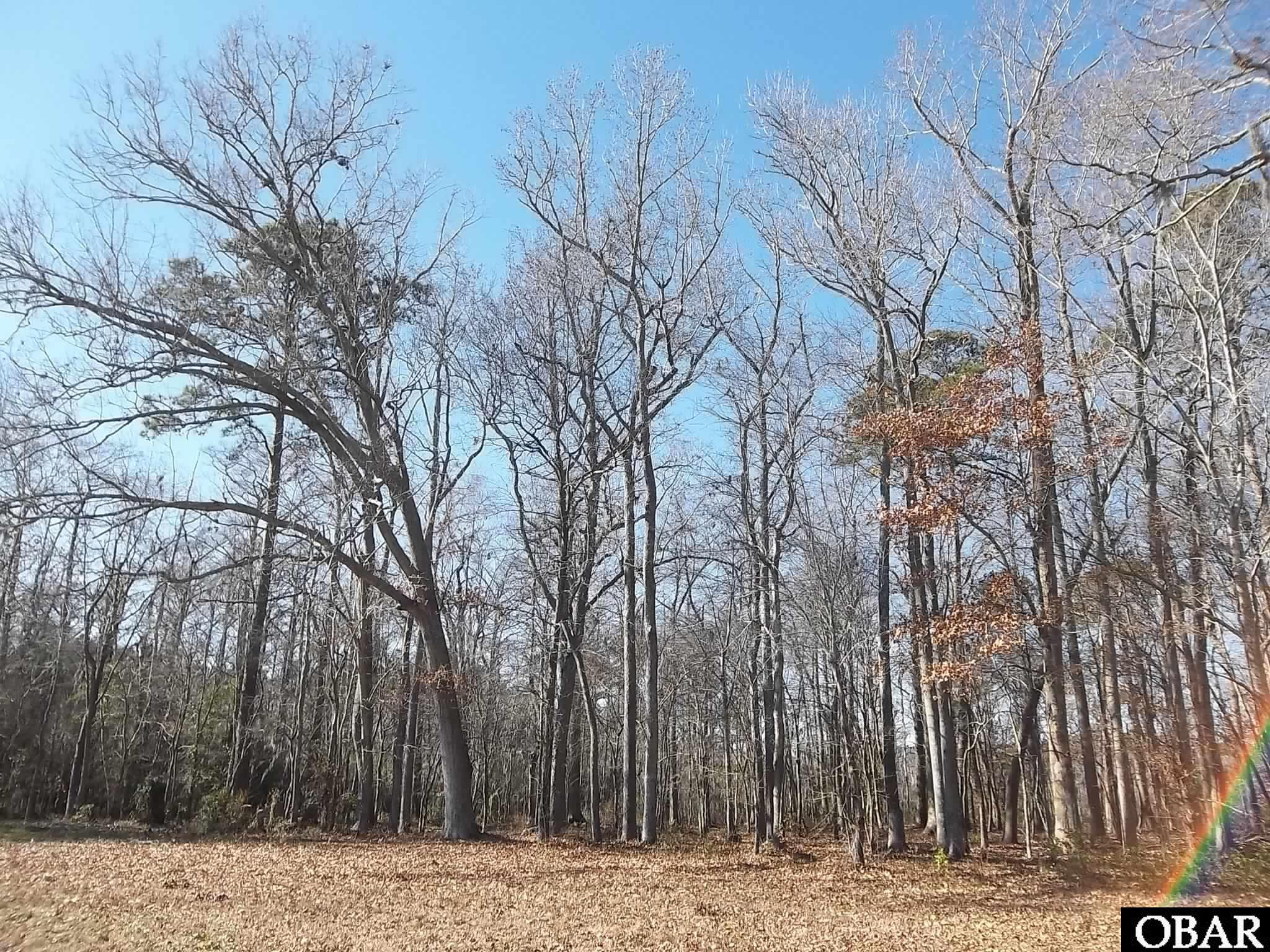 184 Dailey Road Camden, NC 27921 - Photo 12 of 14