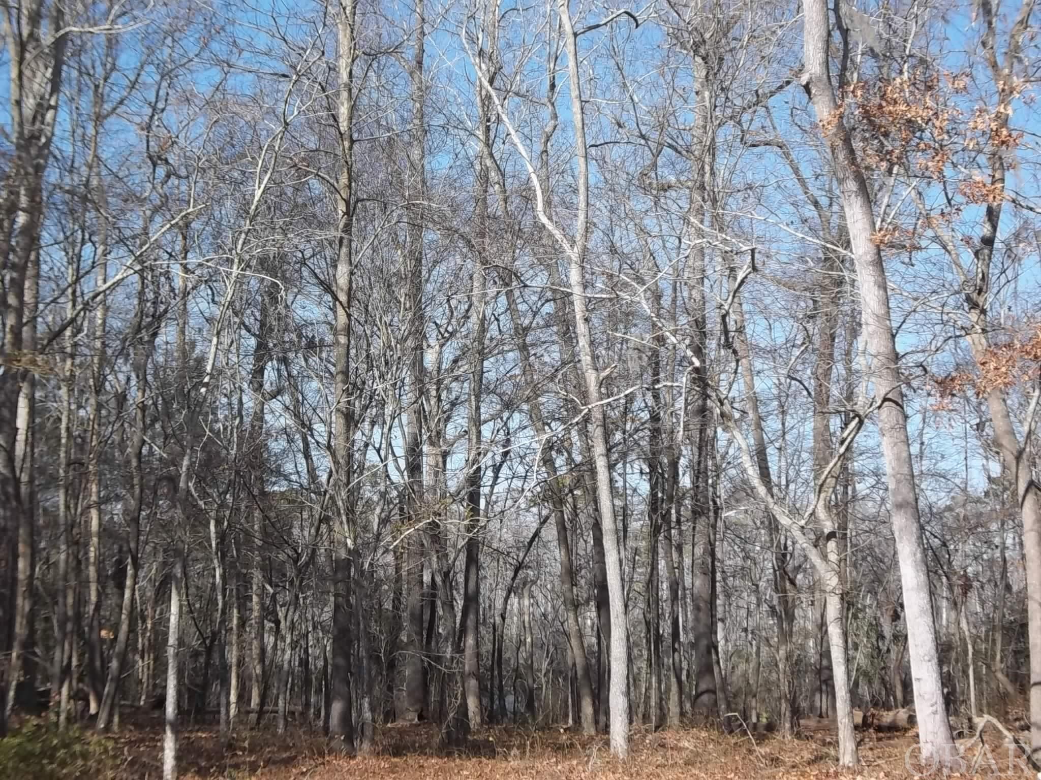 184 Dailey Road Camden, NC 27921 - Photo 14 of 14