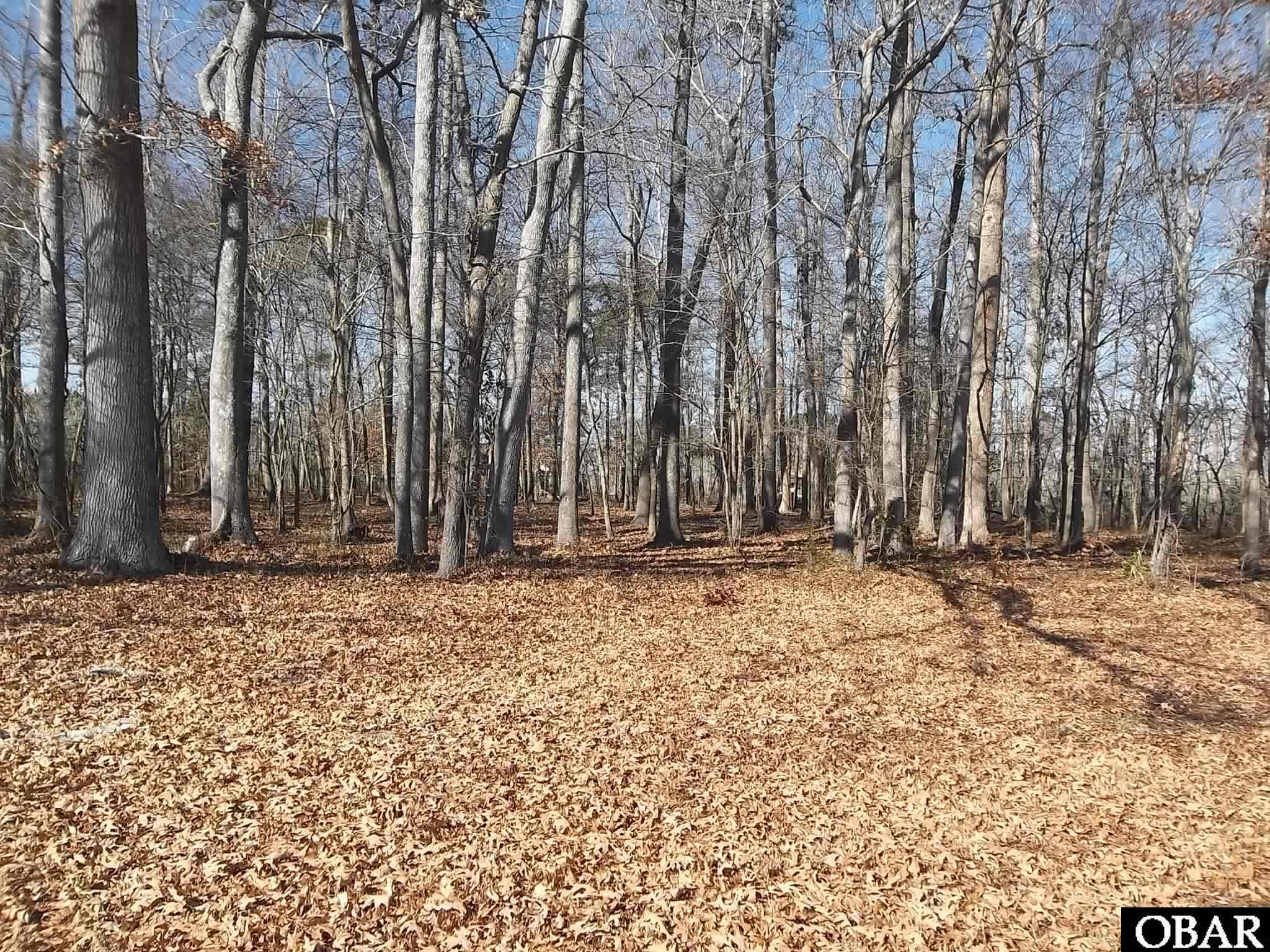 184 Dailey Road Camden, NC 27921 - Photo 2 of 14