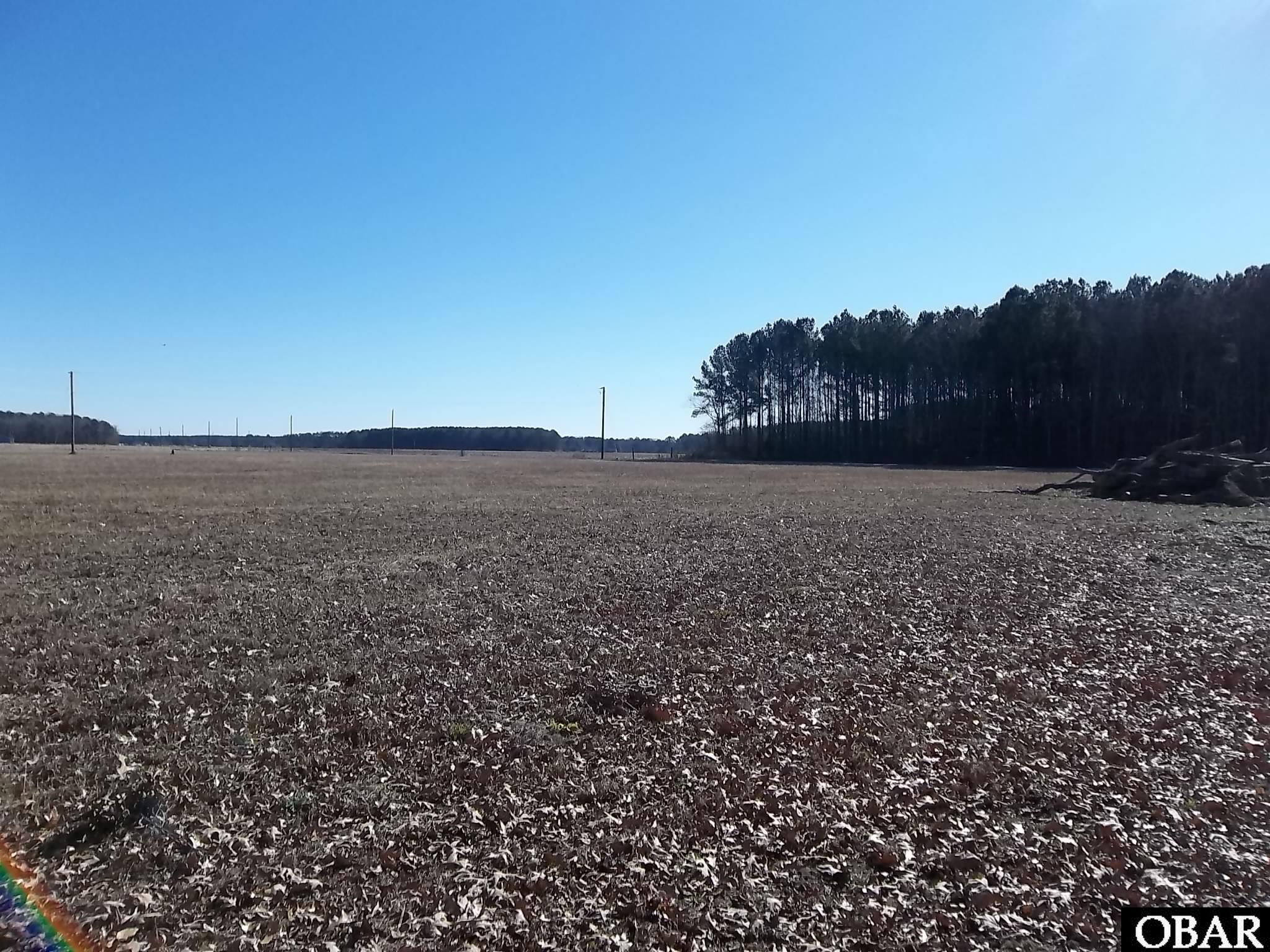 184 Dailey Road Camden, NC 27921 - Photo 3 of 14