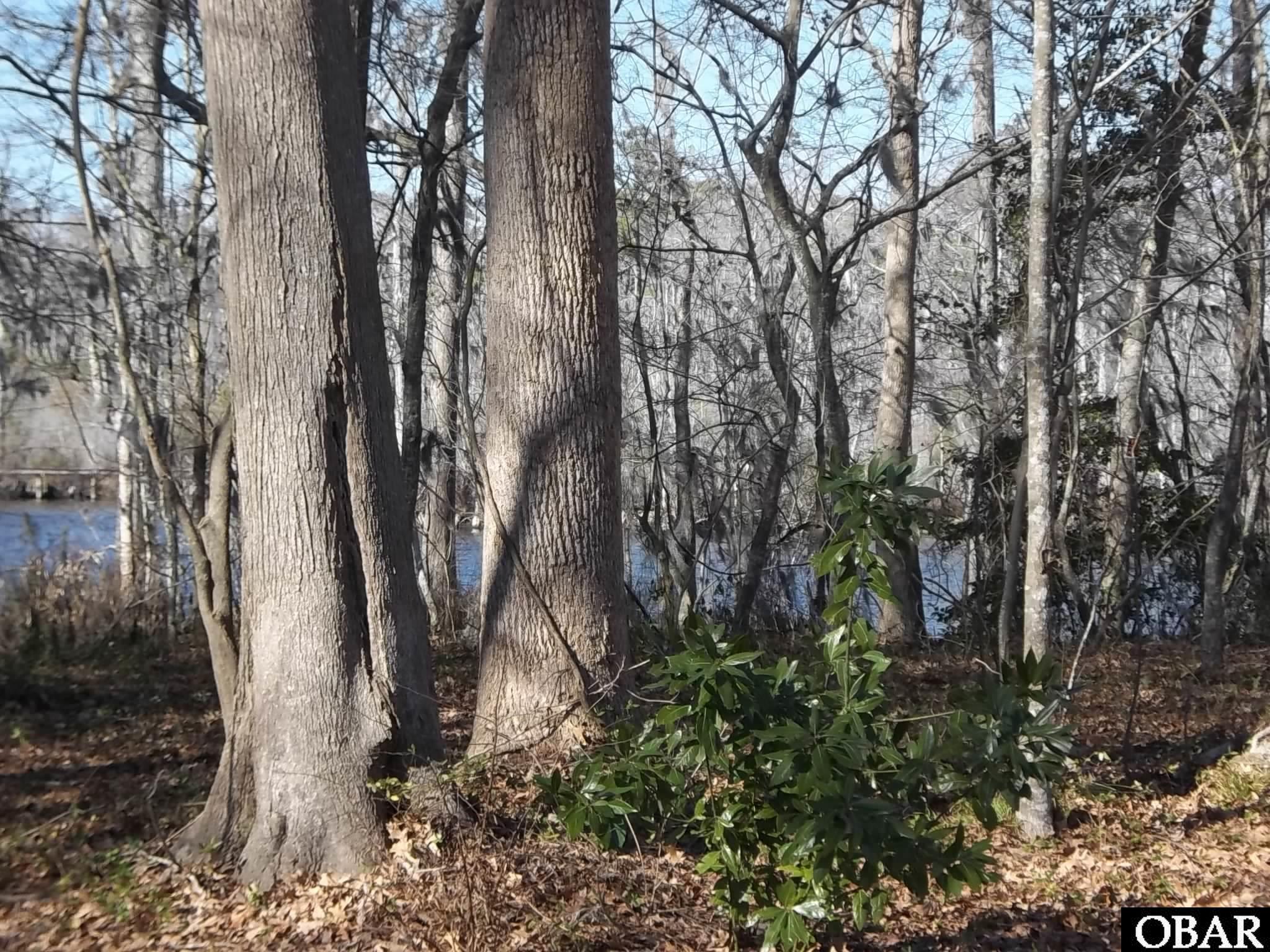 184 Dailey Road Camden, NC 27921 - Photo 4 of 14