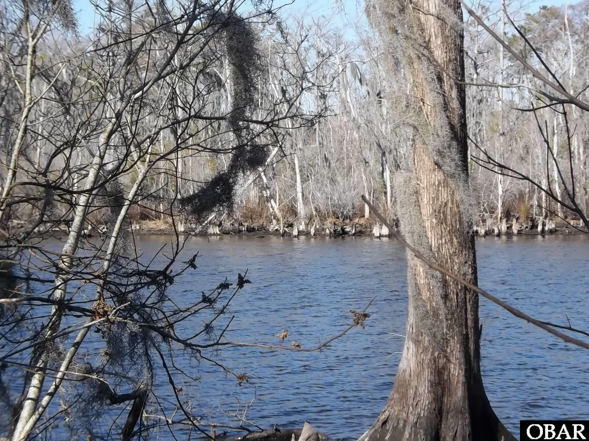 184 Dailey Road Camden, NC 27921 - Photo 5 of 14