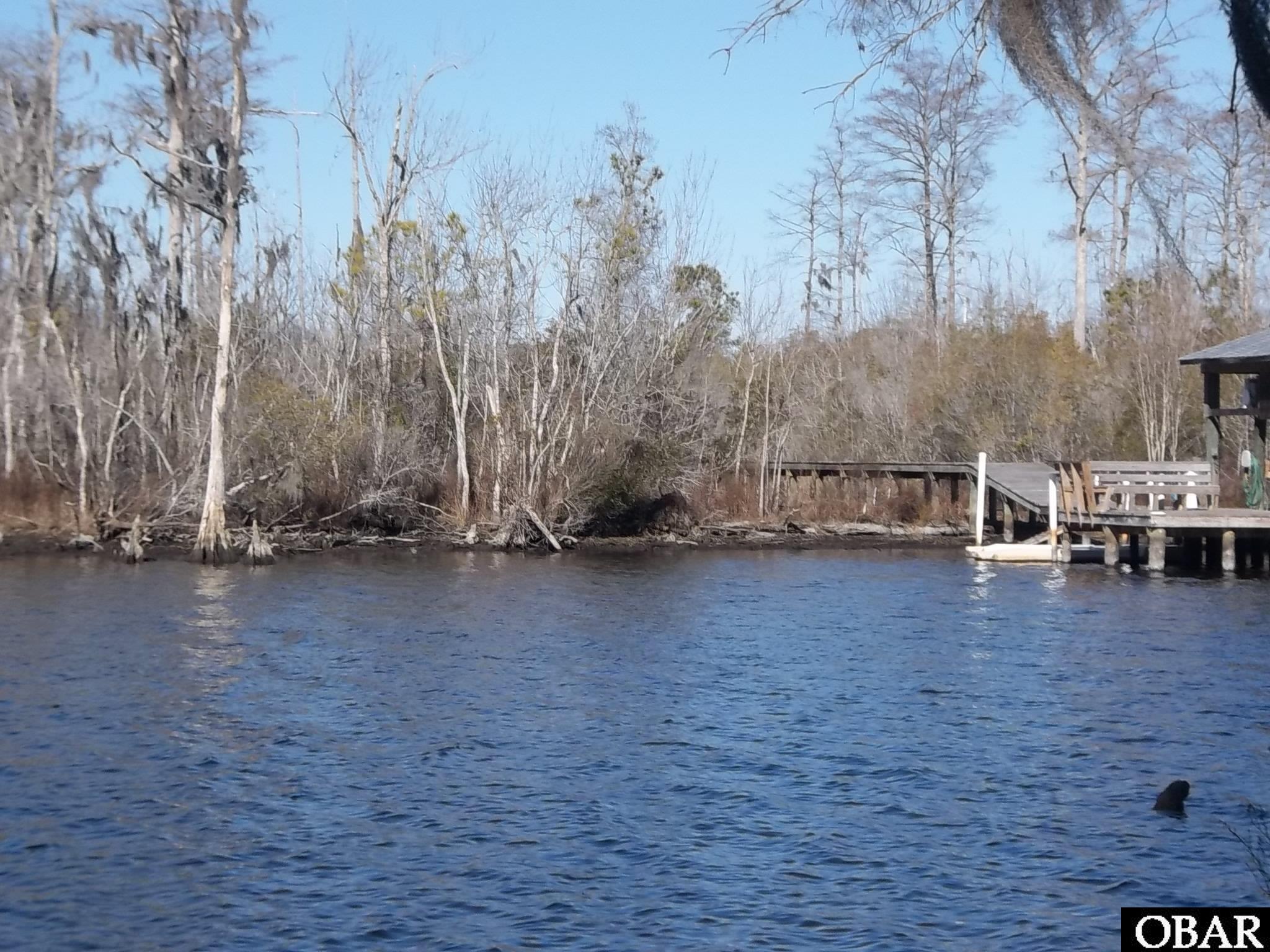 184 Dailey Road Camden, NC 27921 - Photo 8 of 14