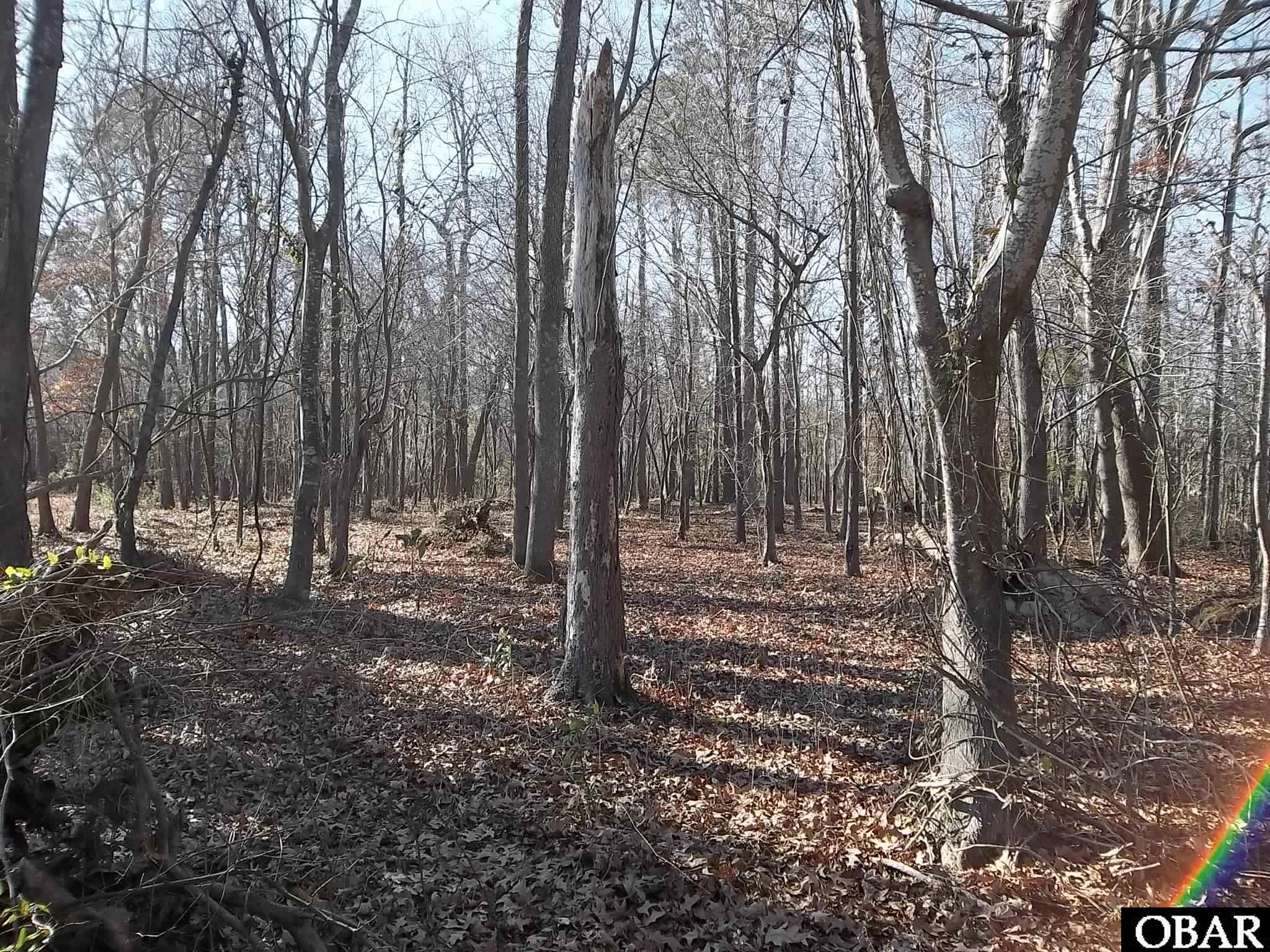 184 Dailey Road Camden, NC 27921 - Photo 10 of 14