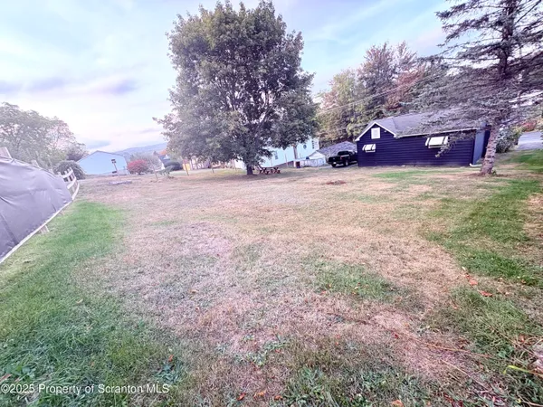 a view of yard with tree s