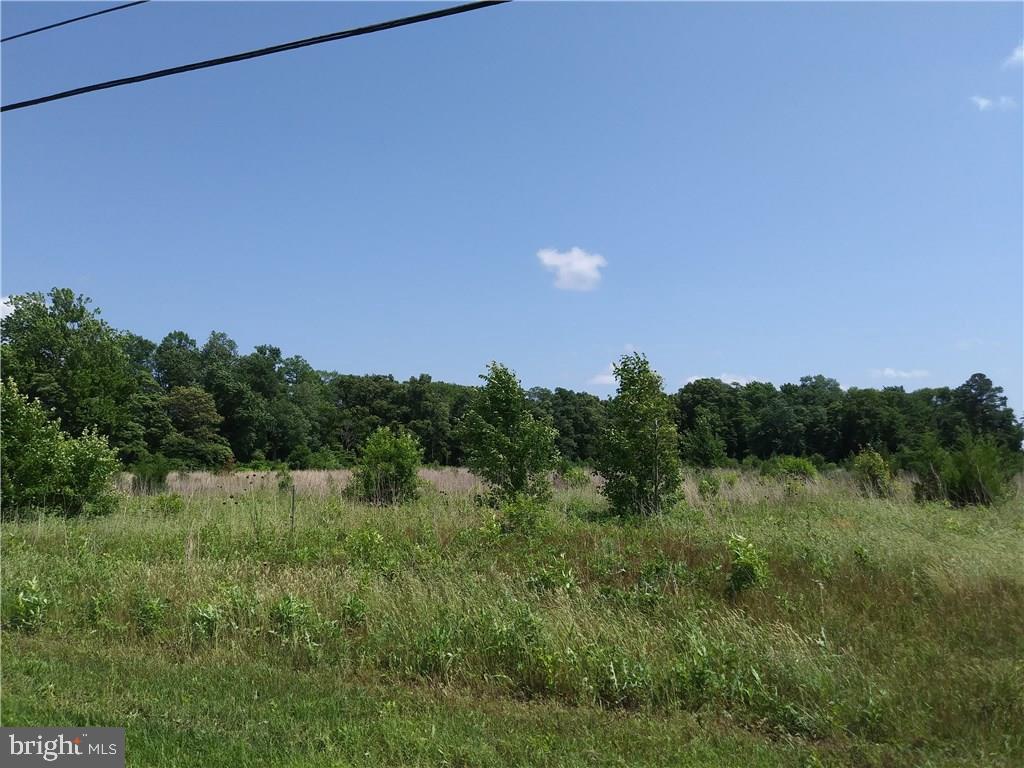 Lot 5 Wootten Road, Unit 5 Laurel, DE 19956 - Photo 1 of 2 Gallery Image 1