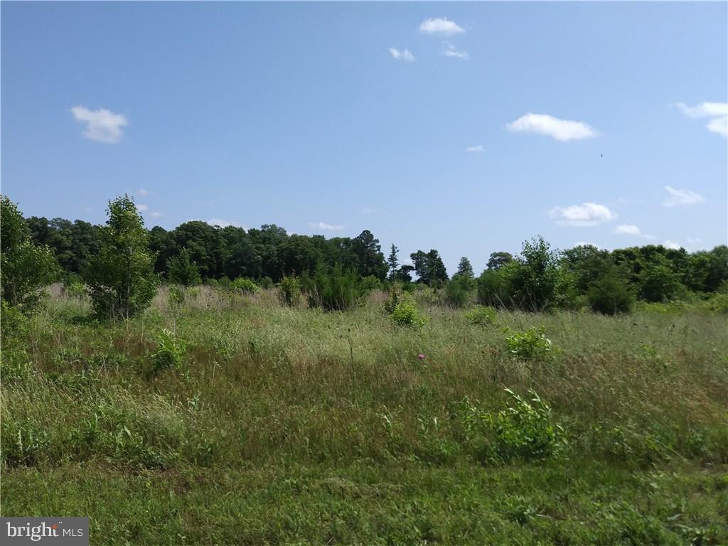 Lot 5 Wootten Road, Unit 5 Laurel, DE 19956 - Photo 2 of 2 Gallery Image 2