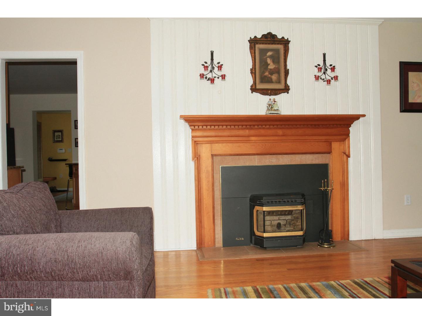 19 Duncan Lane Springfield, PA 19064 - Photo 5 of 24 Fireplace