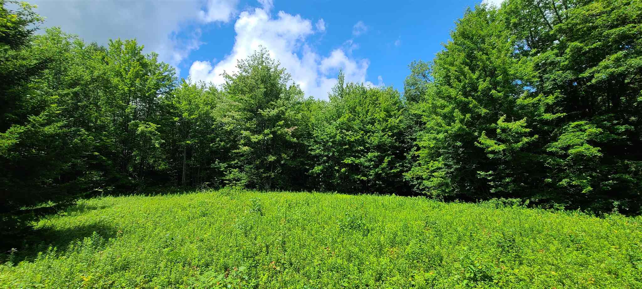 0 Ross Road, Unit 1 Winhall, VT 05340 - Photo 1 of 7